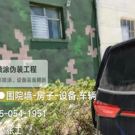 成都数码迷彩漆施工